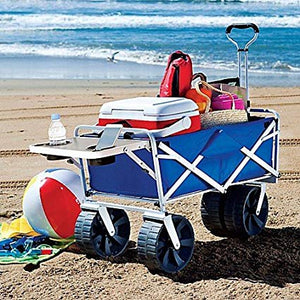 Blue Beach Cart Filled